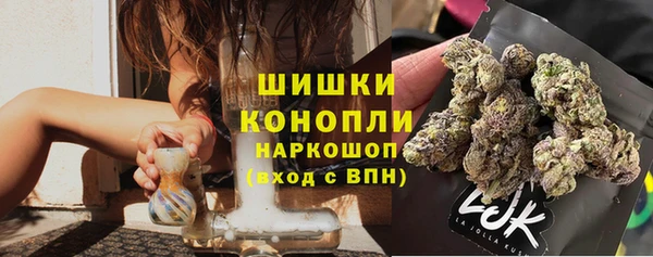 ешки Корсаков